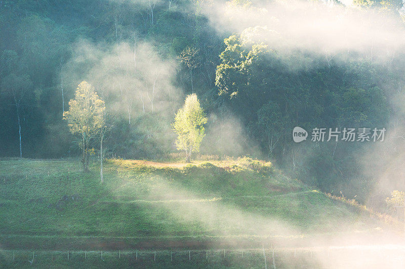 在Doi angkhang清迈自然景观风景秀丽的日出在泰国北部